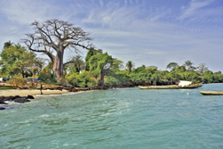Westliches Afrika, Mali - Guinea - Guinea-Bissau: Westafrika pur - Strand